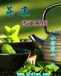 茶道传承系统最新章节