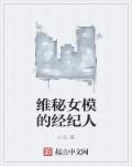 维秘女模的经纪人最新章节